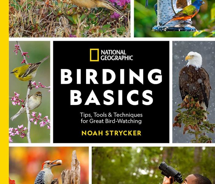 National Geographic Birding Basics: Tips, Tools, and Techniques for Great Bird-watching – Book Review and Blog Tour
