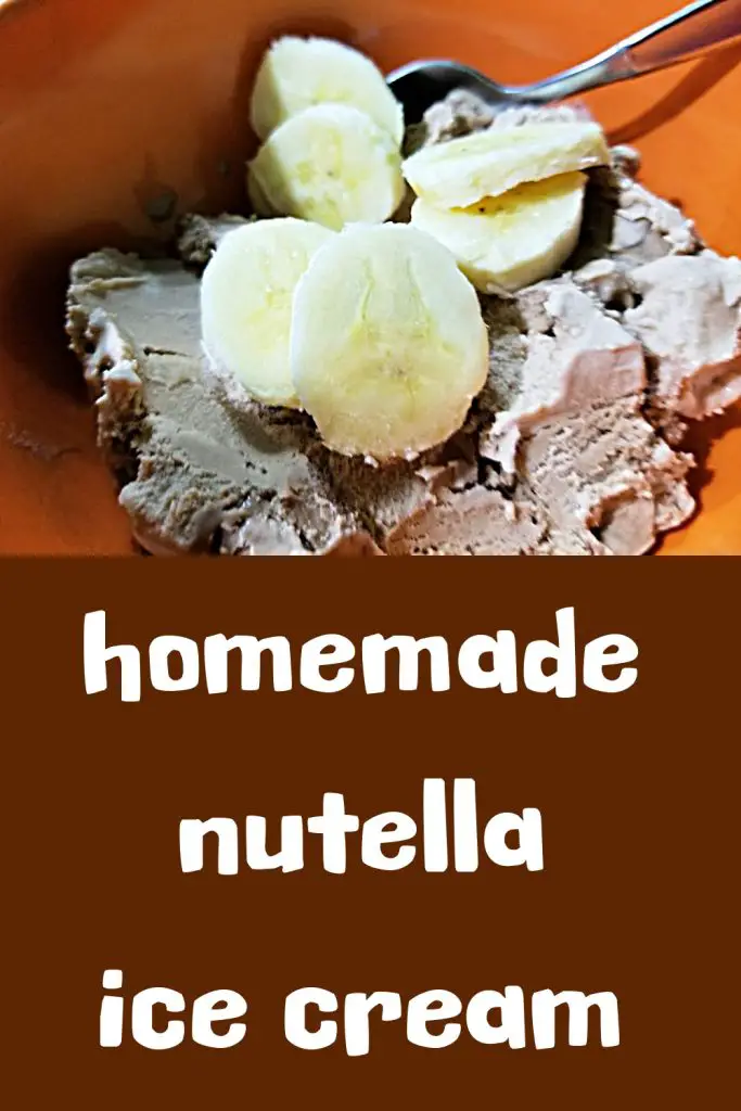 homemade nutella ice cream