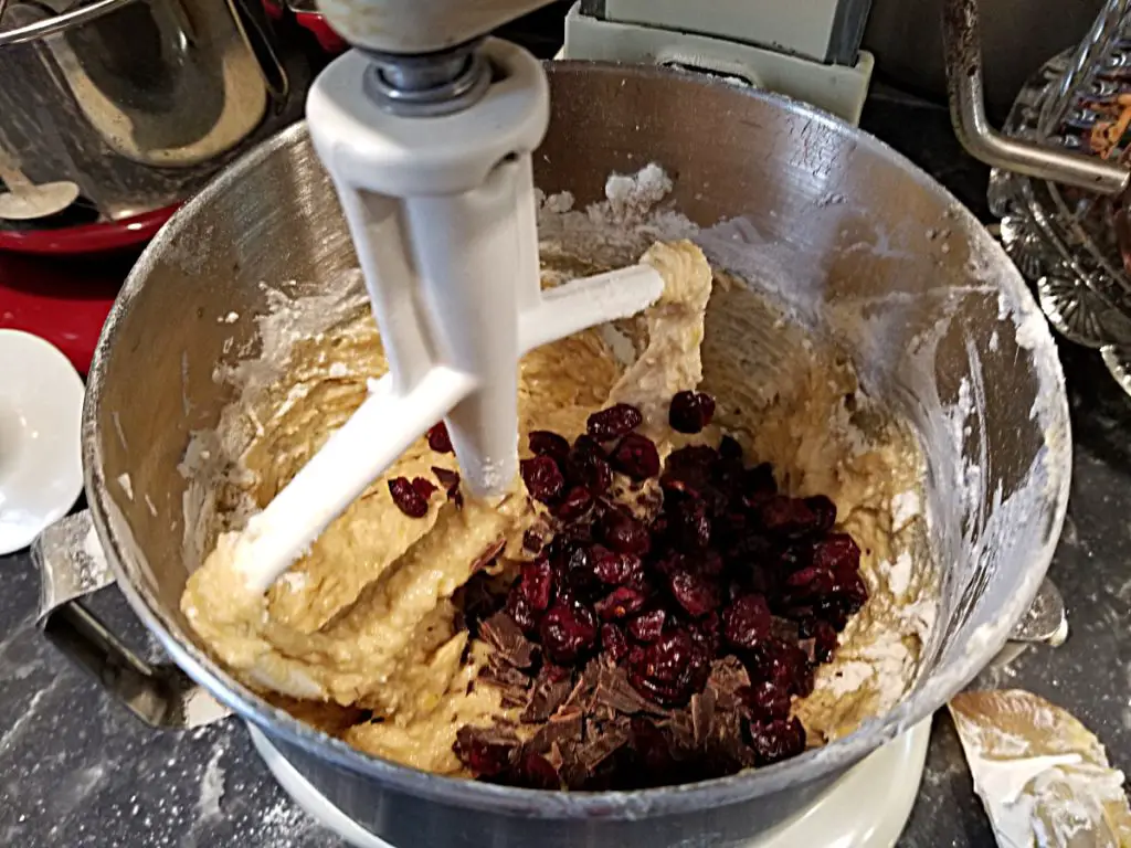 add chocolate and dried cranberries