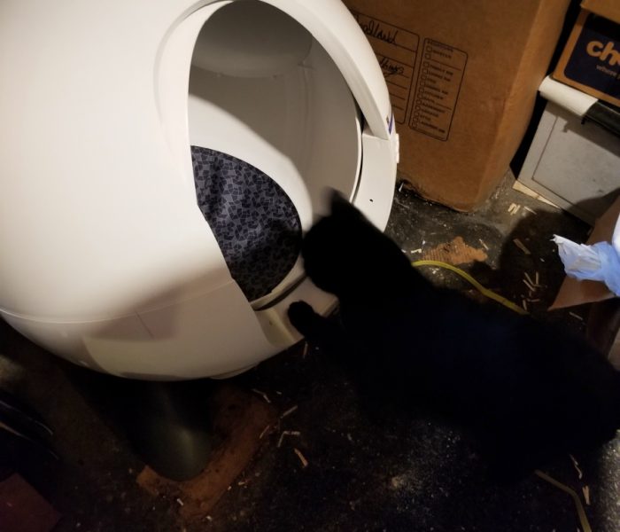 Coredy Self Cleaning Cat Litter Box